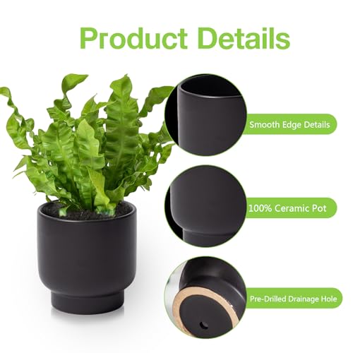 Black Ceramic Planter - Succulent Flower Small Plant Pots, Pot for Indoor Outdoor Garden Plants with Drainage Holes - Plants Not Included 4.33 X4.33 Inch - color: Black