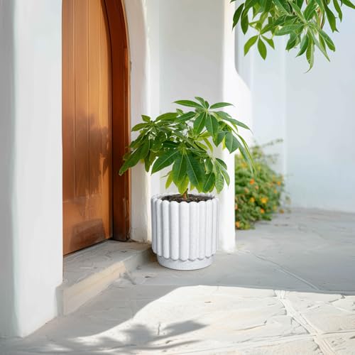 Ceramicfor Ceramic Plant Pot, 9.6 Inch, White - color: Matte White, size: 9.6 Inch