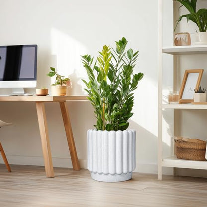 Ceramicfor Ceramic Flower Pot, 12 Inch, White - color: Matte White, size: 12 Inch