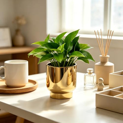 Shiny Gold Ceramic Plant Pots, with Drainage Holes, 4.33 X 4.33 Inch - color: Gold