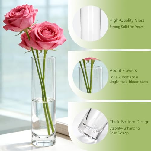 7.48 inch Tall Vases for Flowers,12PCS Glass Cylinder Vase,Bud Vase