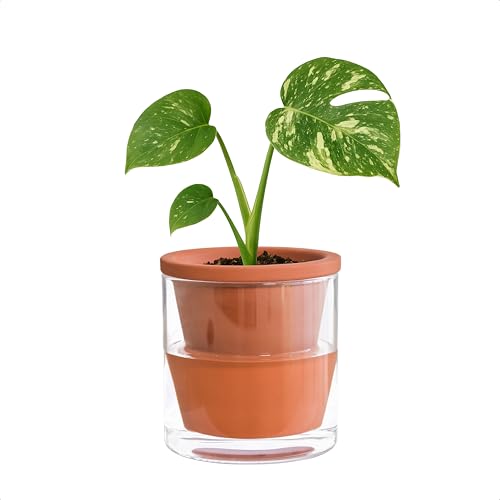 D'vine Dev Self Watering Terracotta Planter Pot, 4 in, 37-X-A-1 - color: Terracotta, size: 4 Inch