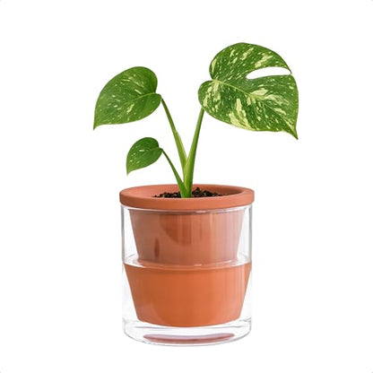 D'vine Dev Self Watering Terracotta Planter Pot, 4 in, 37-X-A-1 - color: Terracotta, size: 4 Inch