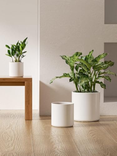 LE TAUCI 10+8+6 Inch Ceramic Pots for Plants, Indoor Planters with Drainage Hole and Plug, Modern Cylinder Flower Pots Set of 3 for Living Room and Bedroom, Satin, White - color: White