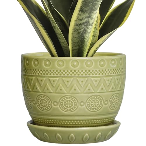 G EPGardening Ceramic Plant Pot, 5.5 Inch, Green - color: Triangle Green