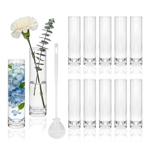 7.48 inch Tall Vases for Flowers,12PCS Glass Cylinder Vase,Bud Vase