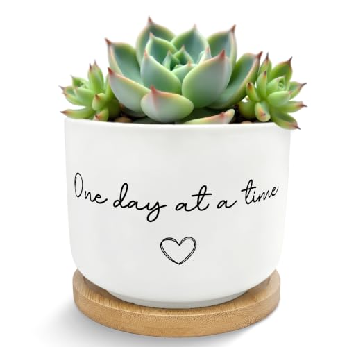Inspirational Mental Health Gifts Plant Pots Planters - color: Style a -L