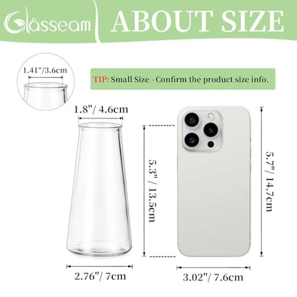 Glasseam Small Glass Vases for Flowers, 12 Pcs Clear Bulk Centerpiece Vases - size: Clear-12pcs