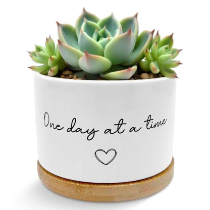 Inspirational Mental Health Gifts Plant Pots Planters - color: Style a -M