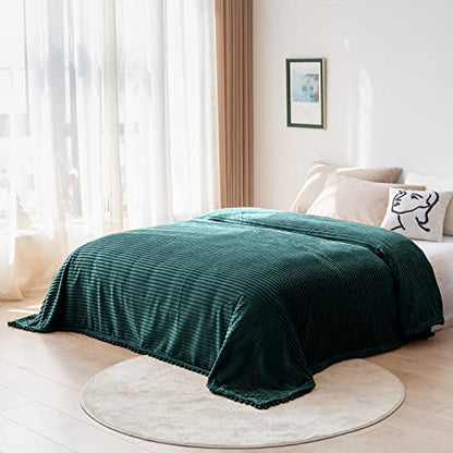 DISSA Fleece Blanket Twin Size – 60x80, Green - Soft, Plush, Fluffy, Fuzzy, Warm, Cozy – Perfect Throw for Couch, Bed, Sofa - with Pompom Fringe - Flannel Blanket - color: Green, size: 60x80"