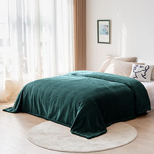 DISSA Fleece Blanket Queen Size – 90x90, Green - Soft, Plush, Fluffy, Fuzzy, Warm, Cozy – Perfect Throw for Couch, Bed, Sofa - with Pompom Fringe - Flannel Blanket - color: Green, size: 90x90"