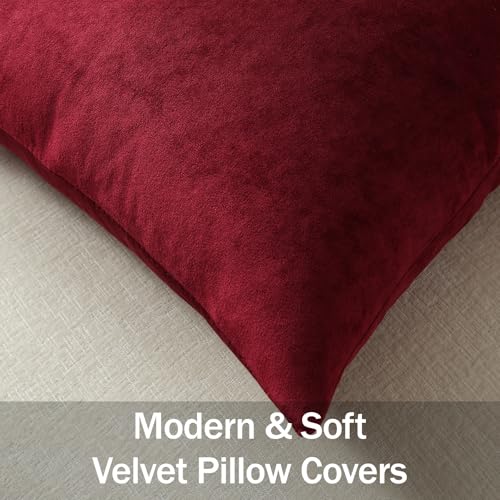 DEZENE Throw Pillow Covers 16x16 Wine Red: Pack of 2 Cozy Soft Velvet Square Modern Luxury Decorative Throw Pillow Cases for Christmas Sofa Couch Living Room Bed Home Decor - color: Rhododendron, size: 16" x 16" (Pack of 2)