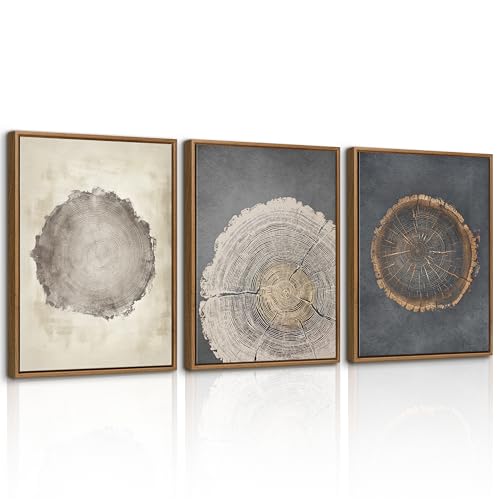 3Pcs Neutral Tree Ring Framed Canvas Wall Art Beige Gray Paintings 12"x16" | Nature Rustic Farmhouse Wall Decor Pictures Modern Art Prints For Living Room Bedroom Office - color: Vintage Neutral Tree Rings, size: 12"x16"x3Pcs