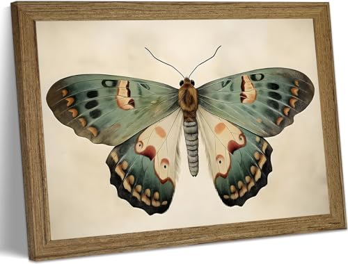 Vintage Butterfly Wall Art Framed Canvas Retro Butterfly Moody Insect Artwork Prints Picture Antique Moth Artwork for Cottagecore Living Room Bedroom 8x10 Inch - color: Butterfly, size: 10"L x 8"W
