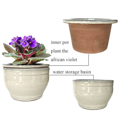 African Violet Pots Self Watering White 6 inch - color: White