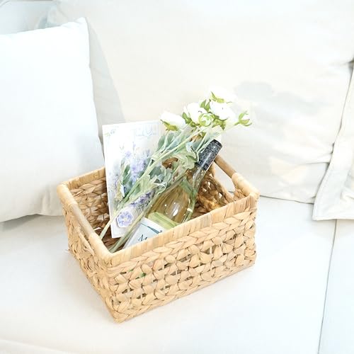 NAYA Set of 3 (13.8",11.6"&9.5") Water Hyacinth Shelf Wicker Baskets - size: Set 3 Small - Medium - Large
