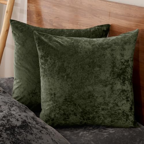 PHF Truly Velvet Euro Shams 26" x 26", Smokey Olive, No Insert, 2 Pack - color: Smokey Olive, size: 26" x 26" (Pack of 2)