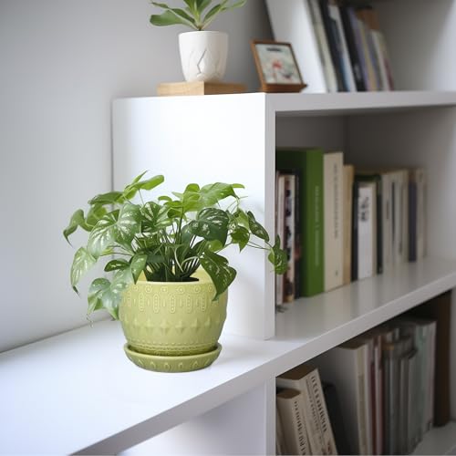 G EPGardening Ceramic Planter 5.5 Inch, Boho Plant Pot Indoor, Green - color: Columnar Green