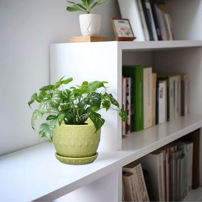 G EPGardening Ceramic Planter 5.5 Inch, Boho Plant Pot Indoor, Green - color: Columnar Green