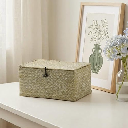 Nonam Wicker Storage Basket with Lid,Seagrass Shelf Basket Set of 3,White - color: Standard White* Set of 3