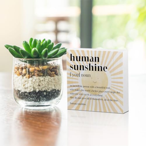Inspirational Sunshine Gift Boho Wooden Box Sign, Appreciation Gift for Mom - color: white 0359