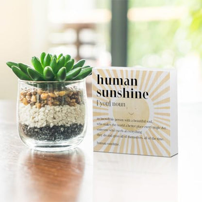 Inspirational Sunshine Gift Boho Wooden Box Sign, Appreciation Gift for Mom - color: white 0359