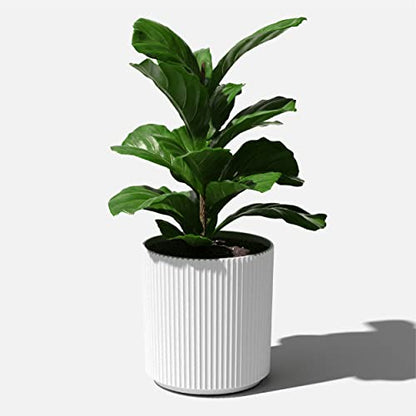 Veradek Demi 20 in. Round White Plastic Planter DMV20W - color: White, size: 20 inch