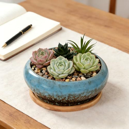 Succulent Pots, 7.3 Inch, Round Large Shallow Flower Plant Pots