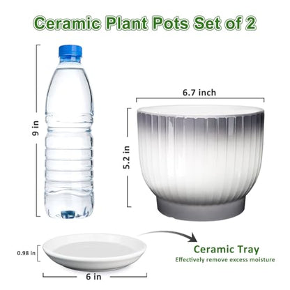 Ceramic Plant Pots, 6.7 Inch, Gray+White, Set of 2 - color: Gray + White, size: 6.7 Inch(2 PCS)