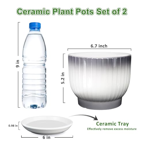Ceramic Plant Pots, 6.7 Inch, Gray+White, Set of 2 - color: Gray + White, size: 6.7 Inch(2 PCS)