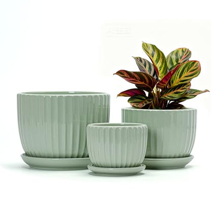 Flower Pots,Ceramic Plant Pots with Drainage Holes Set of 3（Light Green） - color: Light Green