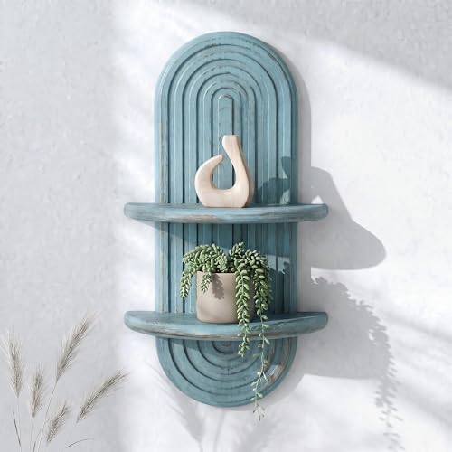 Plant Wall Shelf for Wall Decor: Hanging Plant Shelf for Indoor Plant, Blue - color: Blue