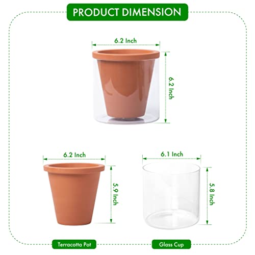 D'vine Dev Self Watering Terracotta Planter Pot, 6 in, 37-X-B-1 - color: Terracotta, size: 6 Inch