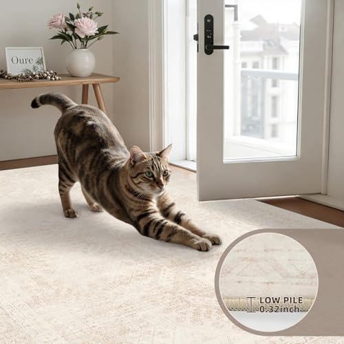 4x6 Area Rugs Living Room: Bedroom Neutral Washable Carpet Beige - color: Beige, size: 4' x 6' (Rectangular)