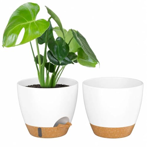ZMTECH 10 Inch Plant Pots Set of 2 Planters for Indoor Plants Self Watering Pots Flower Pots with Drainage Holes and Saucer for Outdoor Plants(White with Brown) - color: White With Brown, size: 10 Inch