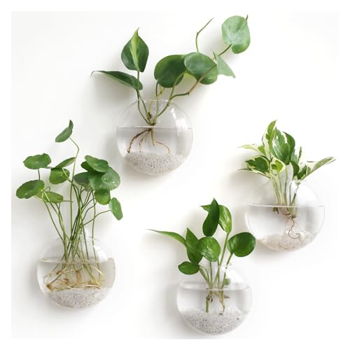 Mkono Wall Propagation Planters, 4 Pack Oblate Hanging Plant Holder Vase