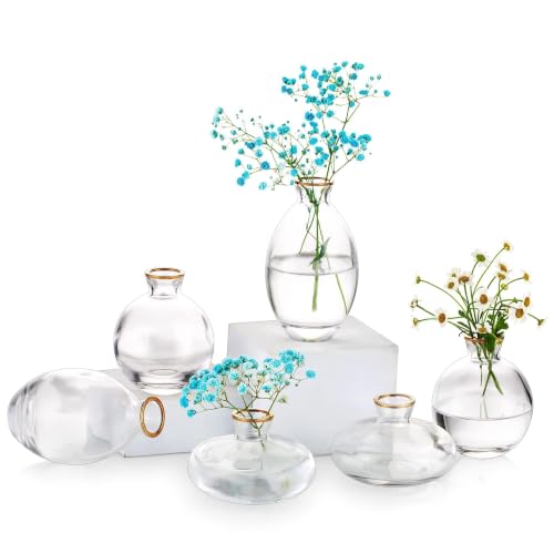Glasseam Glass Bud Vase for Centerpieces, 6Pcs Clear Small Flower Vase Set - color: Gold Rim, size: 2 Sets