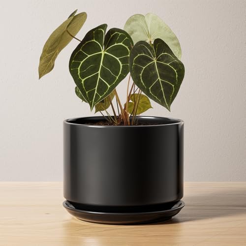 LE TAUCI 6.8 Inch Ceramic Pots for Plants, Indoor Plant Pot, Black - color: Black, size: 6.8"