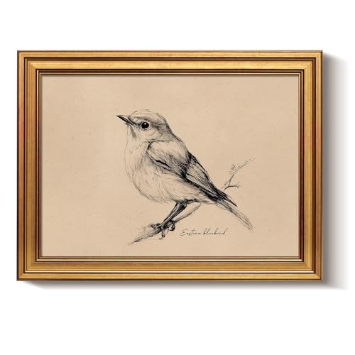 Bzstyleart Vintage Wall Art Decor for Living Room, Framed Vintage Bird Wall Art Canvas Prints Home Decor Aesthetic, Sketch Painting Picture for Bedroom Kitchen, New York State, 12L x 16W - color: New York State Bird, size: 16"L x 12"W