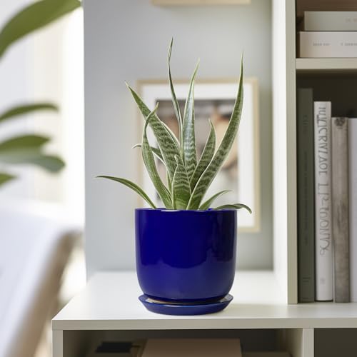 Succulent Pot 5 Inch, Modern Ceramic Planter, Blue - color: Dark Blue, size: 5.3 Inch