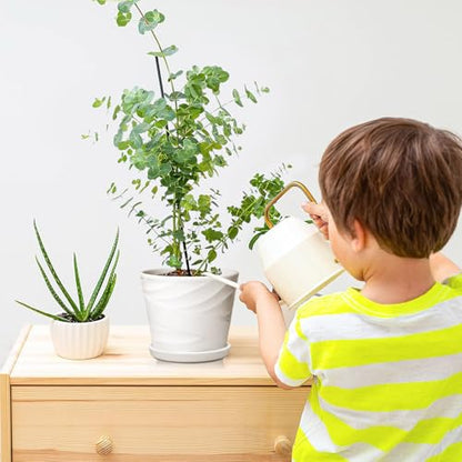 5 Inch Ceramic Plant Pots, 5.5 in Diameter, 4 Pack - color: Pure White, size: 5.5 Inch-4 Pack