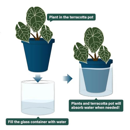 D'vine Dev Self-Watering Blue Terracotta Planter Pot, 6 in, 37-X-B-4 - color: Blue, size: 6 Inch