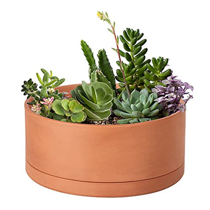D'vine Dev Terracotta Shallow Planter Pot with Saucer, 10 in, 40-Y-B-0 - size: 10 Inch