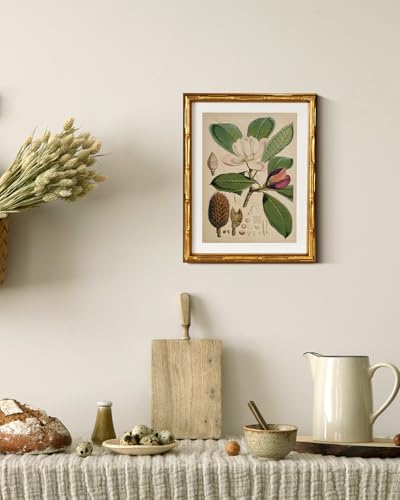 InSimSea Gold Bamboo Framed Wall Art,Retro Magnolia Botanical Print,11x14In - color: Magnolia