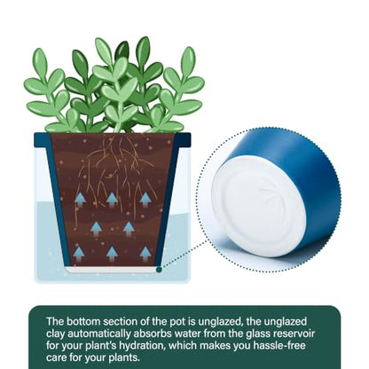 D'vine Dev Self-Watering Blue Terracotta Planter Pot, 4 in, 37-X-A-4 - color: Blue, size: 4 Inch