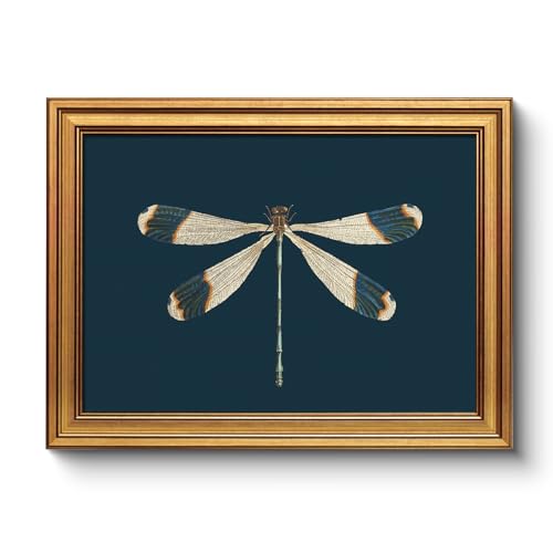 Vintage Gold Framed Dragonfly Wall Art 12x16 Inch, Classic Dark Blue Minimalist Insect Illustration Canvas Print, Retro Nature Botanical Artwork Study Bedroom Office Rustic Modern Home Décor - color: Dragonfly, size: 16"L x 12"W