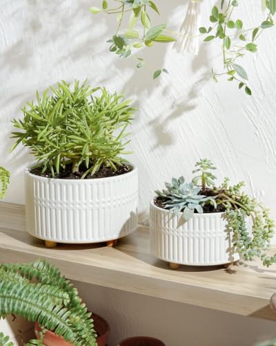 LE TAUCI Succulent Pots, 6.5+8 Inch Ceramic Indoor Plant Pot with Drainage Hole, Shallow Round Succulent Planters, Set of 2, Matte White - color: White