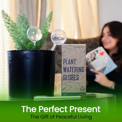 Iridescent Self Watering Globes, Glass Rainbow Plant Watering Globes, Self Watering Planter Insert, Automatic Plant Waterer Indoor (Large-4 Pcs Iridescent, Large) - color: Large - 4 Pcs (Pack of 1)