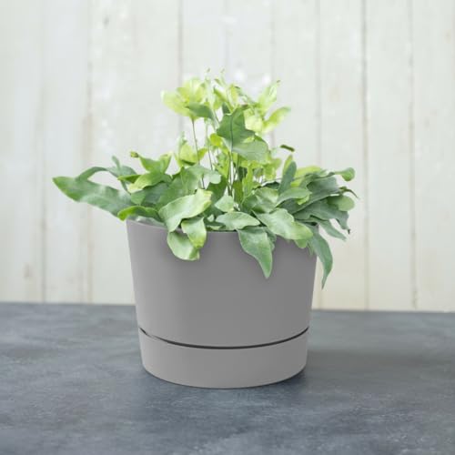 Root & Vessel Majestic Mid-Century Modern Low Profile Cylinder Pot, Matte Gray, 12.5" - color: Matte Gray, size: 12.5-Inch