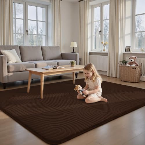 Sour Lemon 8x10 Area Rugs for Living Room Bedroom, Brown Rug Large Carpet - color: Coffee, size: 8' x 10' (Rectangular)